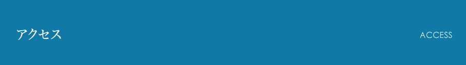 アクセス Access