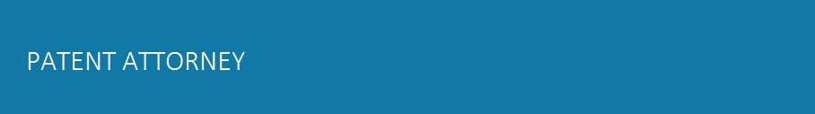 Patent Attorney